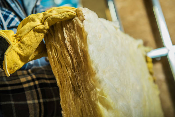 Best Insulation Maintenance and Repair in Rome, GA